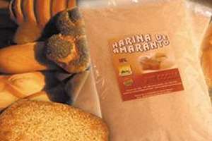 Imagen ilustrativa del artículo Harina de Amaranto, un súper alimento para Celíacos